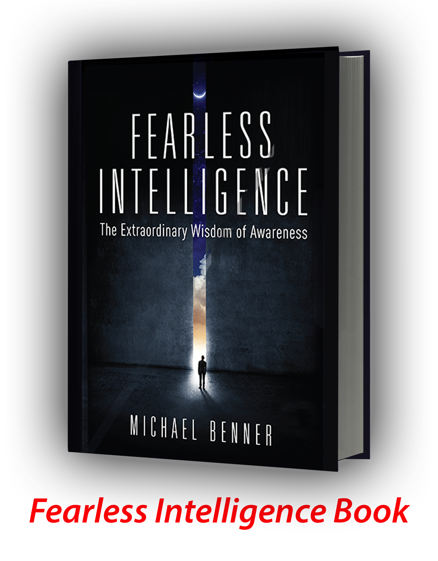 Michael Benner's Fearless Intelligence